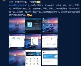 支持国产发货的视频