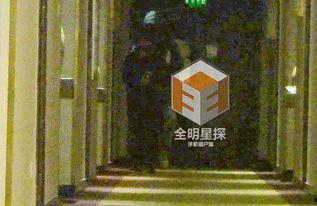 国产综合视频春宵阁,国产综合视频的魅力之旅